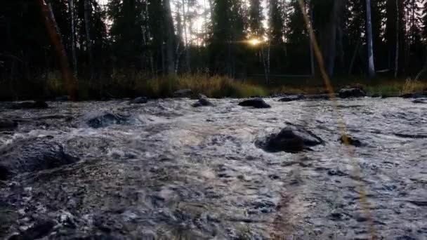 Piccolo e poco profondo fiume roccioso con rapide e cascate scorre in montagna. rallentamento — Video Stock