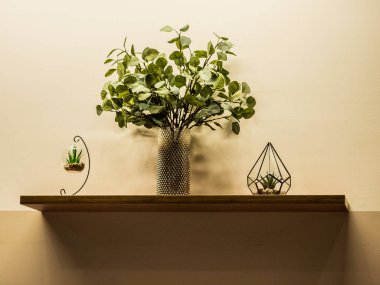 Duvar Raf üzerinde üç cam objeler yeşil bitkiler ile vardır