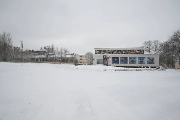 Strefa Wykluczenia Czarnobylu Zimą Ukraina — Zdjęcie stockowe