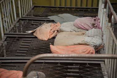 Anaokulu Chernobyl dışlama bölgesi, Ukrayna