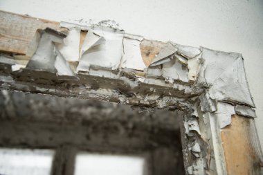 Anaokulu Chernobyl dışlama bölgesi, Ukrayna