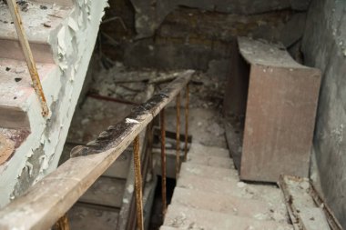 Nükleer felaketten yıllar sonra Çernobil yılları