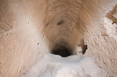Kirman Eyaleti, Iran eski adobe kalede Rayen Castle (Arg-e Rayen Farsça) olduğunu.