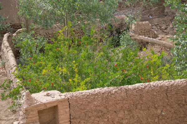 Kirman Eyaleti, Iran eski adobe kalede Rayen Castle (Arg-e Rayen Farsça) olduğunu.