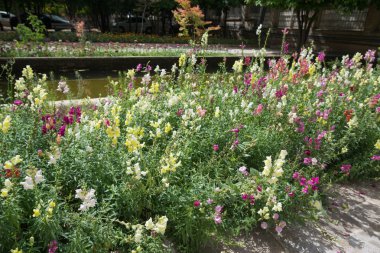 Keşan, İran, 30 Nisan 2018: Keşan'da Fingarden. Fingarden tarihi bir Pers bahçesi, ülkenin en ünlü kraliyet bahçelerinden biri ve Amir Kabir'in öldürüldüğü yerdir.