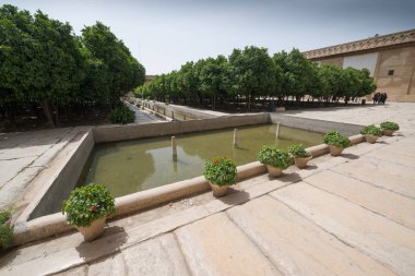 Şiraz, İran, 8 Mayıs 2018: Kerim Han'ın Arg 'ı (Kerim Han Kalesi) İran'ın güneyinde, Şiraz şehir merkezinde bulunan bir kaledir.