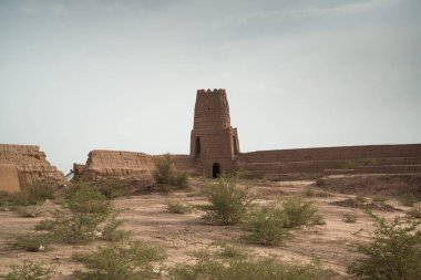Kirman Eyaleti, Iran eski adobe kalede Rayen Castle (Arg-e Rayen Farsça) olduğunu.