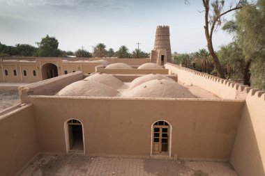 Kirman Eyaleti, Iran eski adobe kalede Rayen Castle (Arg-e Rayen Farsça) olduğunu.