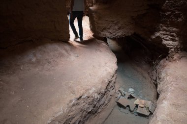 Kirman Eyaleti, Iran eski adobe kalede Rayen Castle (Arg-e Rayen Farsça) olduğunu.