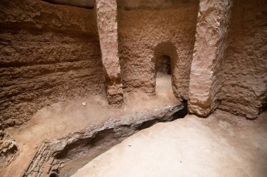 Kirman Eyaleti, Iran eski adobe kalede Rayen Castle (Arg-e Rayen Farsça) olduğunu.