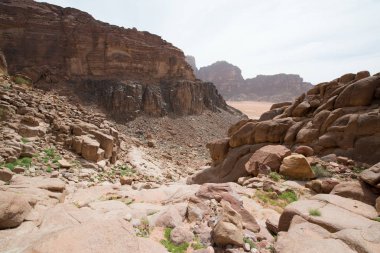 Çöldeki doğal kayaların panoramik görünümü, Wadi Rum, Ürdün