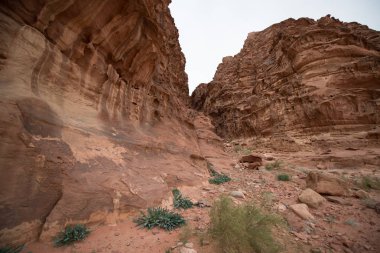 Çöldeki doğal kayaların panoramik görünümü, Wadi Rum, Ürdün