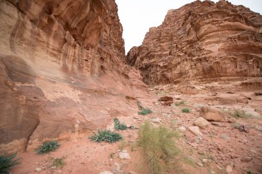 Çöldeki doğal kayaların panoramik görünümü, Wadi Rum, Ürdün