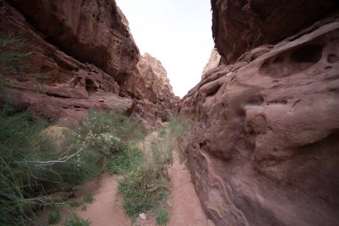 Gündüzleri çöl alanında kayalık oluşumlar