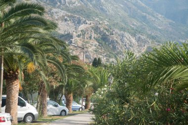 Arnavutluk 'un Tiran kentindeki Dajti dağından görüntü