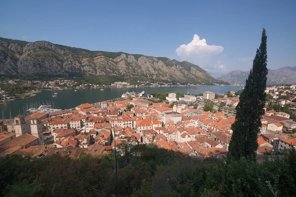 Kotor Bay Och Gamla Stan Från Lovcen Berg Montenegro — Stockfoto