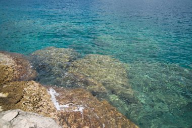 Hırvatistan'daki Lokrum Adası'nda Ölü Deniz 
