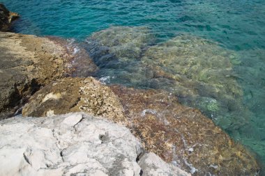 Hırvatistan'daki Lokrum Adası'nda Ölü Deniz 