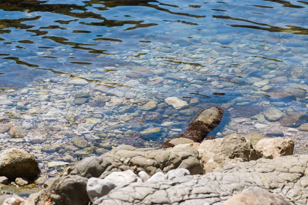 Utsikt Över Döda Havet Mrtvo Mer Lokrum Island Kroatien — Stockfoto