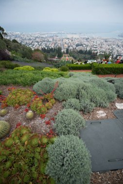 güzel bahai bahçeleri Haifa, İsrail 