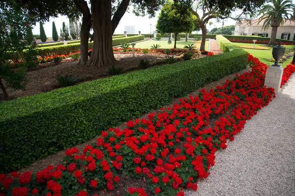 Beaux Jardins Bahai Haïfa Israël — Photo