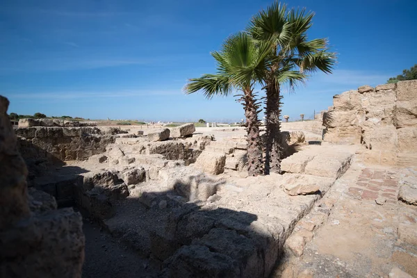 Beit Shean Ruinas Romanas Israel — Foto de Stock