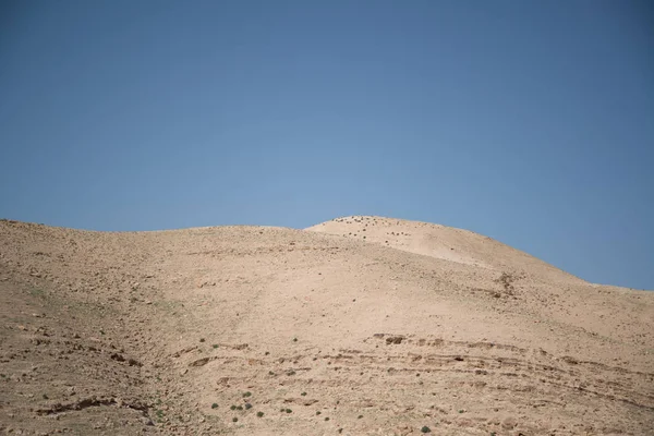 Het Prachtige Uitzicht Het Fort Van Masada Israël — Stockfoto