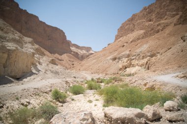 Masada, İsrail kalesinin güzel görünümü
