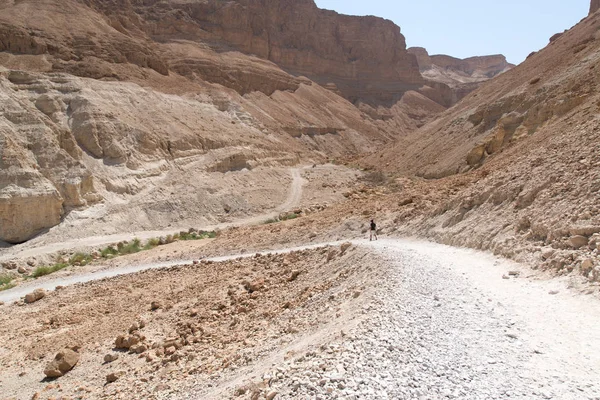 Hermosa Vista Fortaleza Masada Israel — Foto de Stock