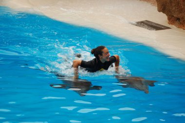 Tenerife, İspanya - Haziran 28, 2011: Havuzda yunuslar ile göster, Loro parque, Puerto de la Cruz, Santa Cruz de Tenerife, Kanarya Adaları, İspanya 