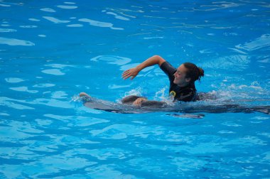 Tenerife, İspanya - Haziran 28, 2011: Havuzda yunuslar ile göster, Loro parque, Puerto de la Cruz, Santa Cruz de Tenerife, Kanarya Adaları, İspanya 
