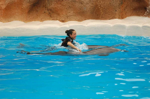 Teneryfa Hiszpania Czerwca 2011 Pokaż Delfinami Basenie Loro Parque Puerto — Zdjęcie stockowe