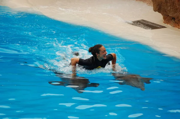 Teneryfa Hiszpania Czerwca 2011 Pokaż Delfinami Basenie Loro Parque Puerto — Zdjęcie stockowe