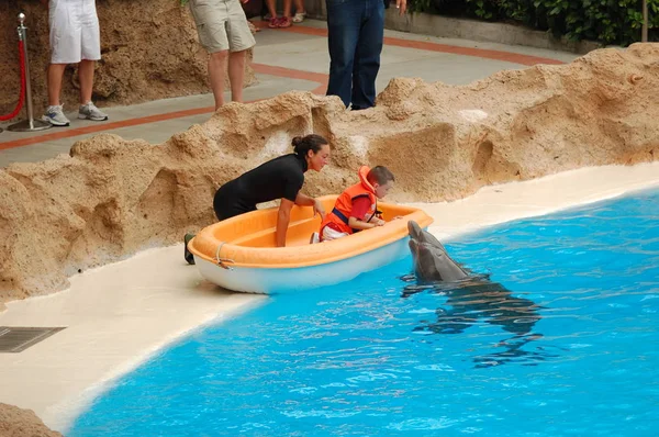Tenerife España Junio 2011 Espectáculo Con Delfines Piscina Loro Parque — Foto de Stock
