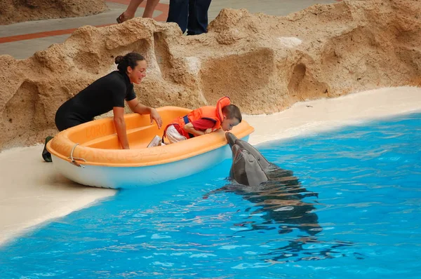 Teneryfa Hiszpania Czerwca 2011 Pokaż Delfinami Basenie Loro Parque Puerto — Zdjęcie stockowe