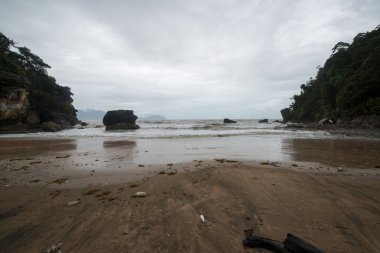 Muddy kıyı deniz Bako Milli Parkı, Borneo, Sarawak Malezya giden yolda