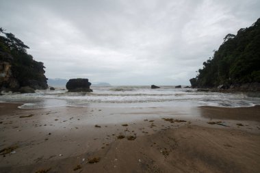 Muddy kıyı deniz Bako Milli Parkı, Borneo, Sarawak Malezya giden yolda