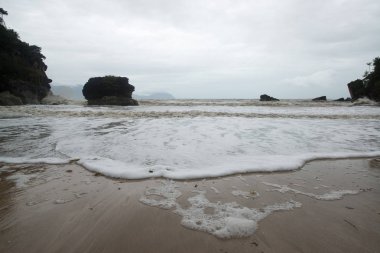 Muddy kıyı deniz Bako Milli Parkı, Borneo, Sarawak Malezya giden yolda