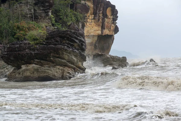 Muddy Sea Camino Parque Nacional Bako Borneo Sarawak Malasia — Foto de Stock