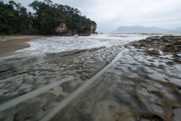Muddy Sea Camino Parque Nacional Bako Borneo Sarawak Malasia — Foto de Stock