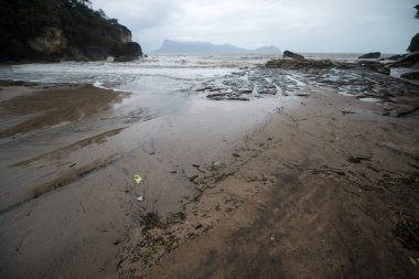 Çamurlu deniz bir yol üzerinde Bako Milli Parkı, Borneo, Sarawak Malezya