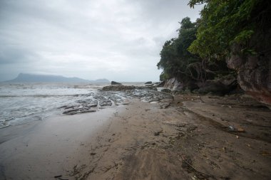 Çamurlu deniz bir yol üzerinde Bako Milli Parkı, Borneo, Sarawak Malezya