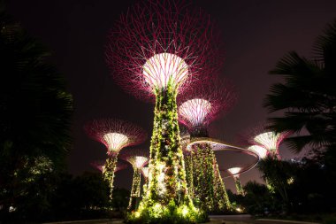 Singapur - 20 Ocak: Singapur'da 20 Ocak 2015 tarihinde Gardens at The Bay Supertree Grove'un gece manzarası. Marina Rezervuarı'nın bitişiğinde, Singapur'un merkezinde 101 hektarlık geri kazanılmış araziye yayılan