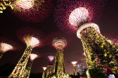 Singapur - 20 Ocak: Singapur'da 20 Ocak 2015 tarihinde Gardens at The Bay Supertree Grove'un gece manzarası. Marina Rezervuarı'nın bitişiğinde, Singapur'un merkezinde 101 hektarlık geri kazanılmış araziye yayılan