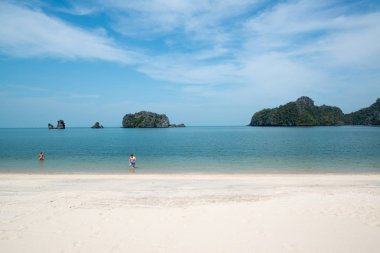 Tayland 'da zümrüt suyu ile güzel tropikal ada plaj. Tatil tatil konsepti