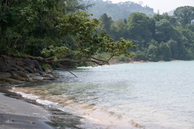 Tayland 'da zümrüt suyu ile güzel tropikal ada plaj. Tatil tatil konsepti