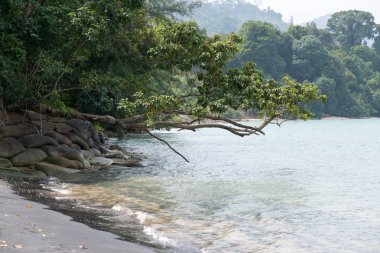 Tayland 'da zümrüt suyu ile güzel tropikal ada plaj. Tatil tatil konsepti