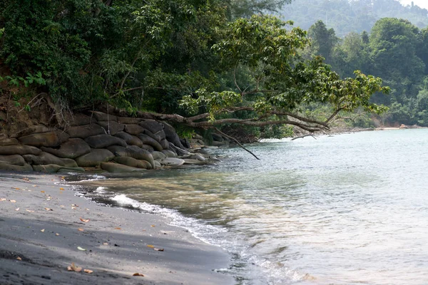 Tayland 'da zümrüt suyu ile güzel tropikal ada plaj. Tatil tatil konsepti