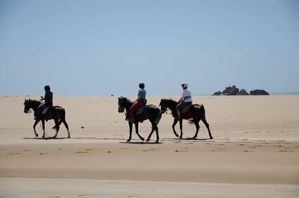 Essaouira Marocco Circa Maggio 2013 Uomini Cavallo Sulla Spiaggia Essaouira — Foto Stock