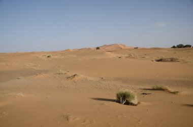 Sahara çöl manzara mavi gökyüzü ile. Dunes arka plan